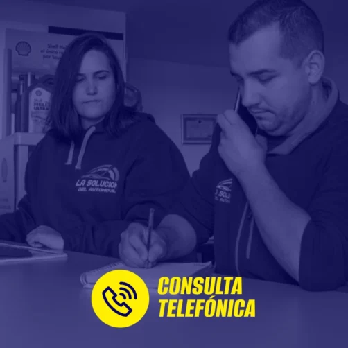 Consulta telefónica